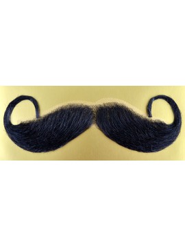 Moustache Wilhelm, coloris noir
